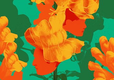 Edward Albee’s Who’s Afraid of Virginia Woolf?