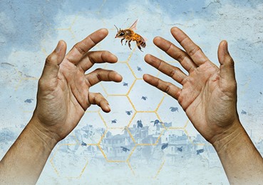 The Beekeeper of Aleppo