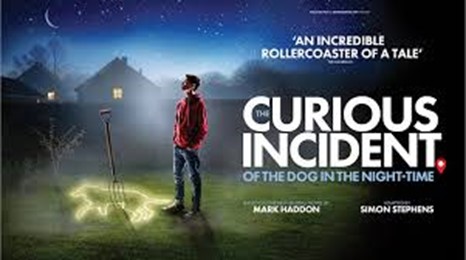 The Curious Incident of the Dog in the Night Time