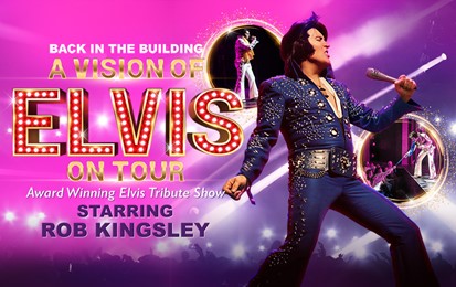 A Vision of Elvis
