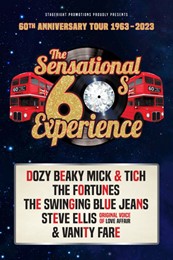 The Sensational Sixties Experience 