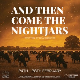 And Then Come The Night Jars