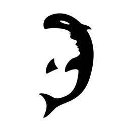 Orca by Matt Grinter