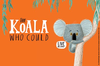 The Koala Who Could