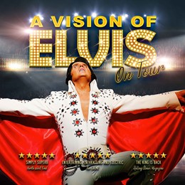 A Vision Of Elvis