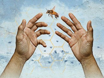 The Beekeeper of Aleppo