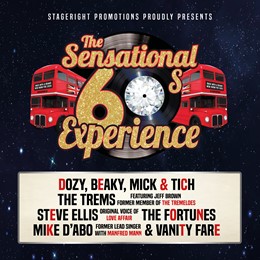 The Sensational 60s Experience 