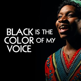 Black Is The Color Of My Voice
