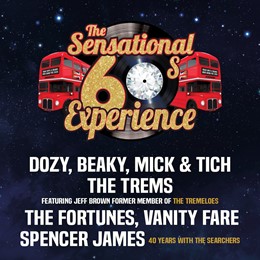 The Sensational 60's Experience
