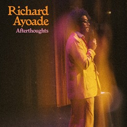 Richard Ayoade: Afterthoughts