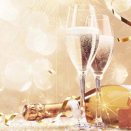 New Years Eve Gala Concert 