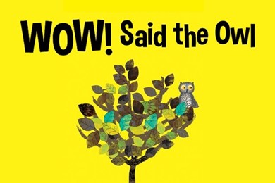 Wow! Said the Owl 