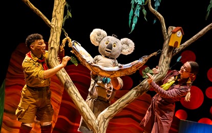 The Koala Who Could