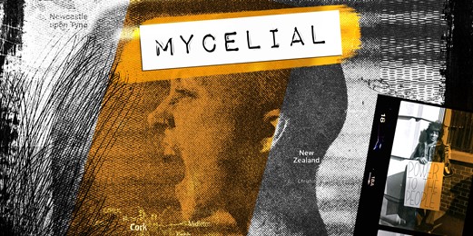 Mycelial