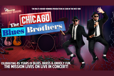 The Chicago Blues Brothers