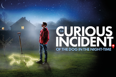The Curious Incident of the Dog in the Night-Time