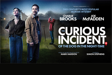 The Curious Incident of the Dog in the Night-Time