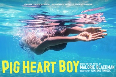 Pig Heart Boy