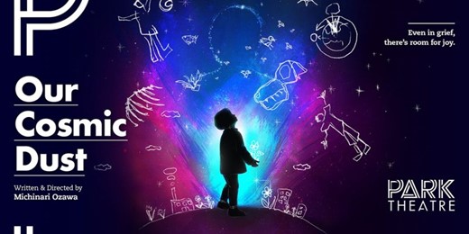 Our Cosmic Dust