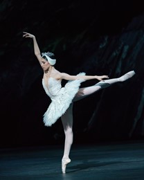 The Royal Ballet: Swan Lake (Encore Screening)