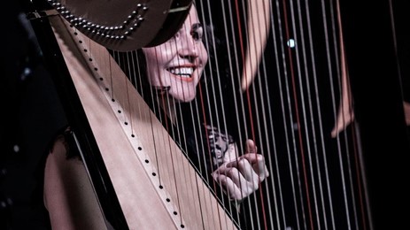 Alina Bzhezhinska Hip Harp Quintet