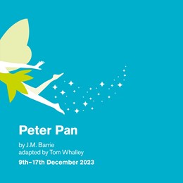 Panto! Peter Pan by Tom Whalley