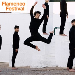 Flamenco Festival / Compañia Jesús Carmona - The Jump