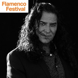 Flamenco Festival / Tomatito - In Concert