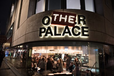 The Other Palace